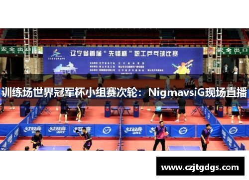 训练场世界冠军杯小组赛次轮：NigmavsiG现场直播